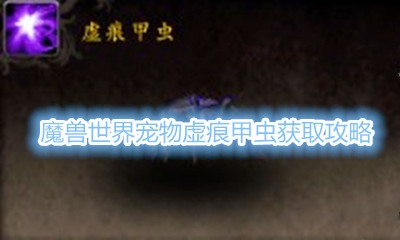 《魔兽世界》宠物虚痕甲虫获取攻略