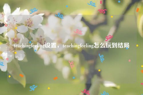 teachingfeeling设置，teachingfeeling怎么玩到结局