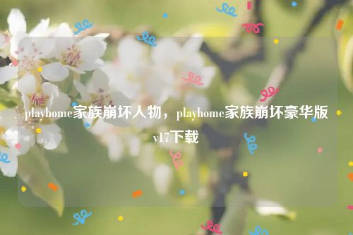 playhome家族崩坏人物，playhome家族崩坏豪华版v17下载