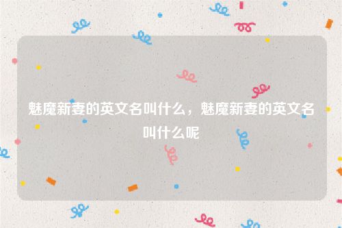 魅魔新妻的英文名叫什么，魅魔新妻的英文名叫什么呢