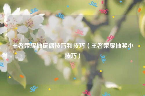 王者荣耀抽玩偶技巧和技巧（王者荣耀抽奖小技巧）
