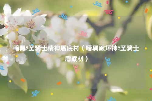 暗黑2圣骑士精神盾底材（暗黑破坏神2圣骑士盾底材）