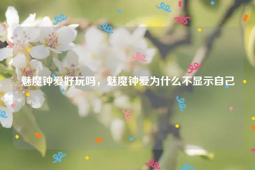 魅魔钟爱好玩吗,魅魔钟爱为什么不显示自己