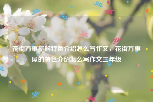 花街万事屋的特色介绍怎么写作文，花街万事屋的特色介绍怎么写作文三年级