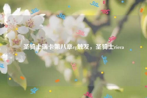 圣骑士瑞卡第八章cg触发,圣骑士ricca
