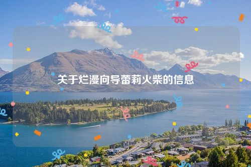 关于烂漫向导蕾莉火柴的信息