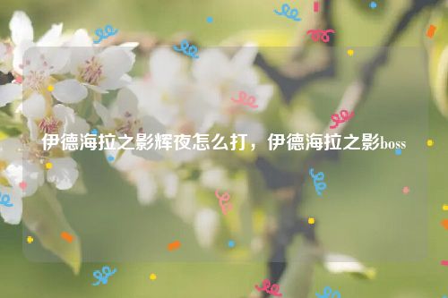 伊德海拉之影辉夜怎么打，伊德海拉之影boss