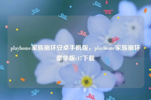playhome家族崩坏安卓手机版，playhome家族崩坏豪华版v17下载