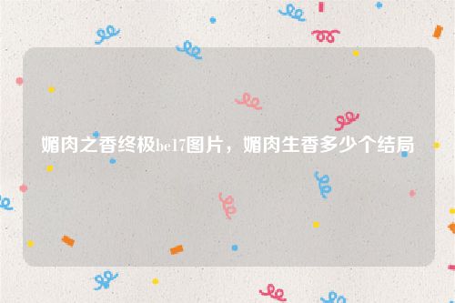 媚肉之香终极be17图片，媚肉生香多少个结局