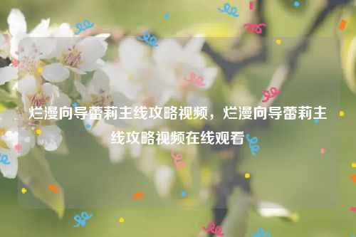烂漫向导蕾莉主线攻略视频,烂漫向导蕾莉主线攻略视频在线观看