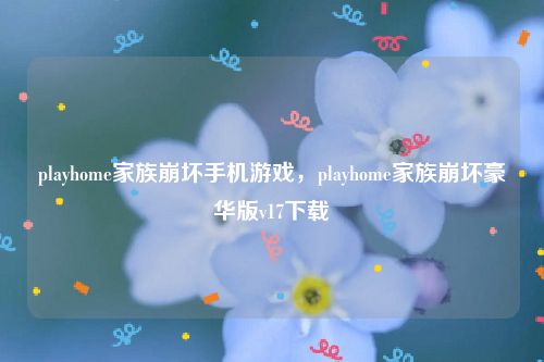 playhome家族崩坏手机游戏，playhome家族崩坏豪华版v17下载