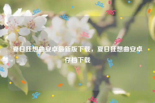 夏日狂想曲安卓最新版下载,夏日狂想曲安卓存档下载
