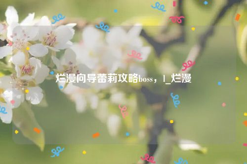 烂漫向导蕾莉攻略boss,l_烂漫