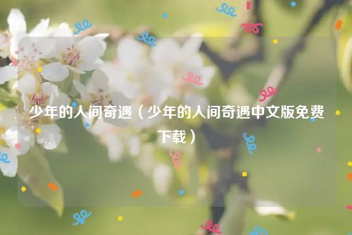 少年的人间奇遇(少年的人间奇遇中文版免费下载)