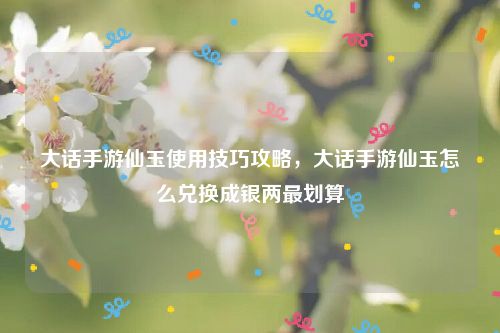 大话手游仙玉使用技巧攻略，大话手游仙玉怎么兑换成银两最划算