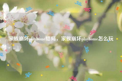 家族崩坏playhome结局，家族崩坏playhome怎么玩