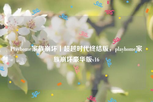 Playhome家族崩坏丨超越时代终结版，playhome家族崩坏豪华版v16