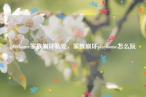 playhome家族崩坏私处，家族崩坏playhome怎么玩